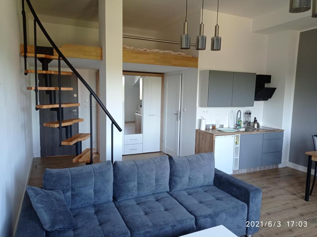 Apartamenty Kasztanowa Zator Esterno foto